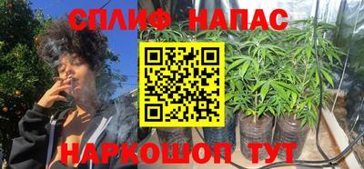 сатива Краснознаменск