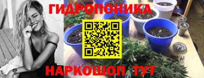 PSILOCYBIN Кумертау