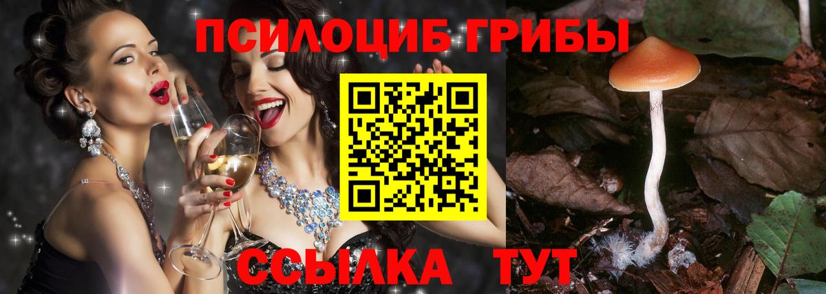 Галлюциногенные грибы Cubensis Донской
